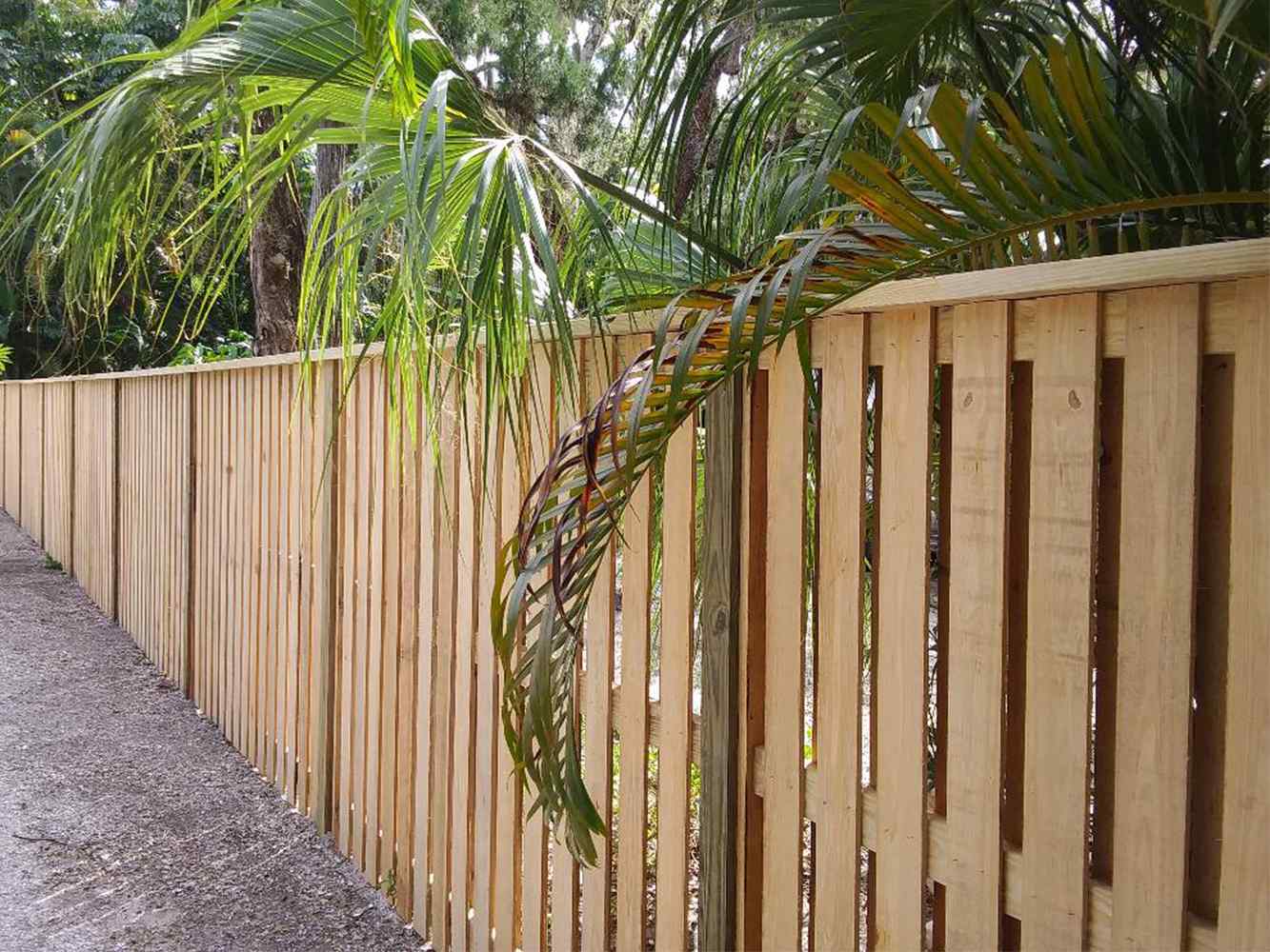 Residential Wood Fence Company In Sarasota, Florida